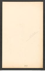k.k. naturhistorisches Hofmuseum, Intendanzakten 1885-1896 (Hauer), Aktenzahl Z.414/1889, Seite 4